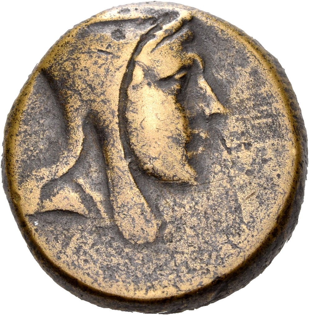 Amisus Waddington 1925 13