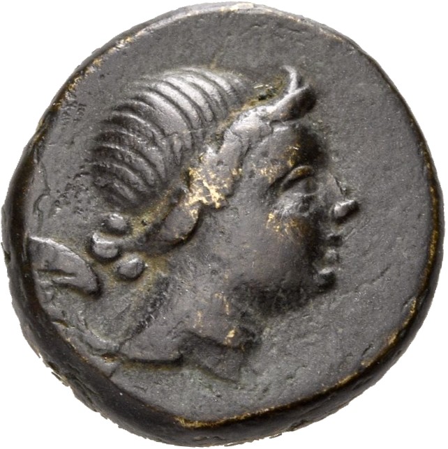 Amisus Waddington 1925 37