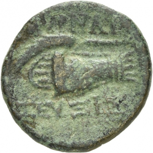 Smyrna