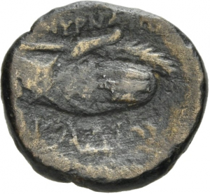 Smyrna