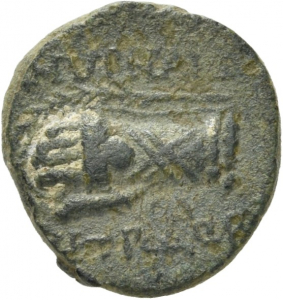 Smyrna