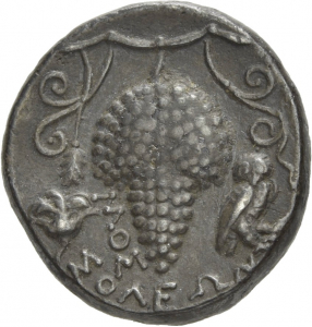 Soloi