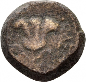 Soloi