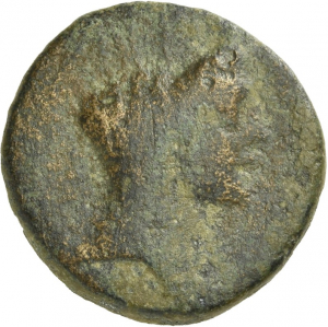 Tarsos