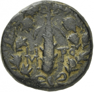 Tarsos