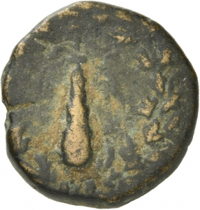 Tarsos