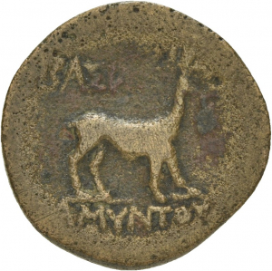 Galatien: Amyntas