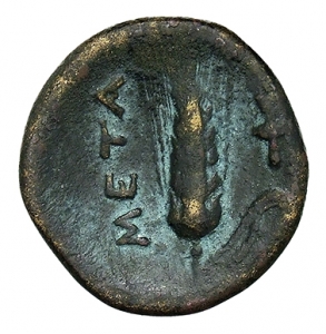 Metapont