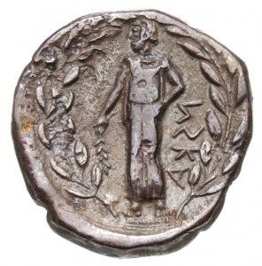 Terina