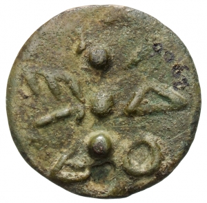 Volterra