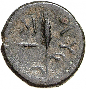 Lysimacheia