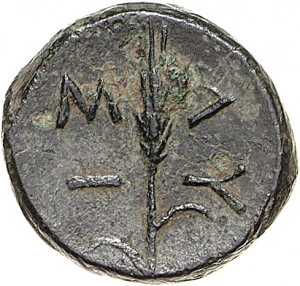 Lysimacheia