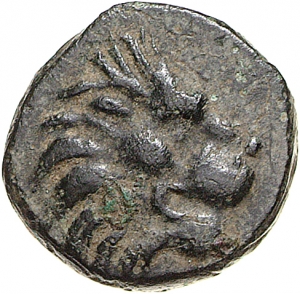 Lysimacheia