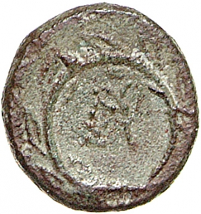 Lysimacheia