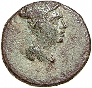 Lysimacheia