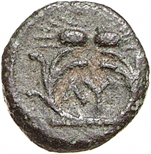 Lysimacheia