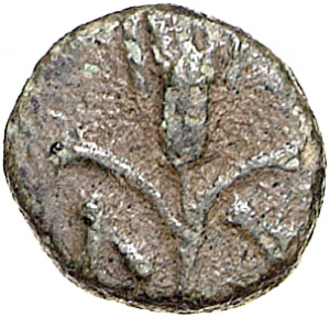 Lysimacheia