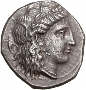 Metapont