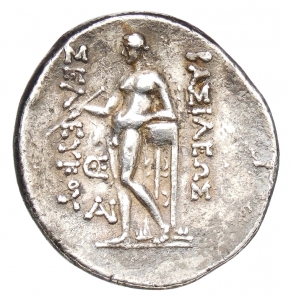 Seleukiden: Seleukos II.