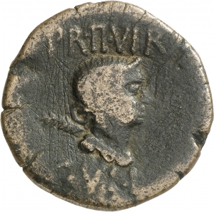 Lepida