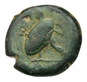 Ariminum (Rimini)
