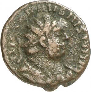 Carausius
