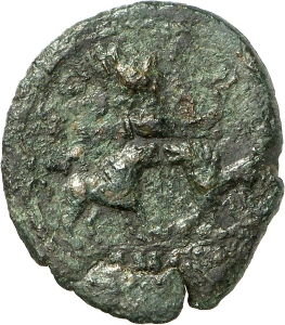 Carausius