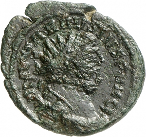 Carausius