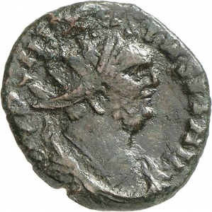 Carausius