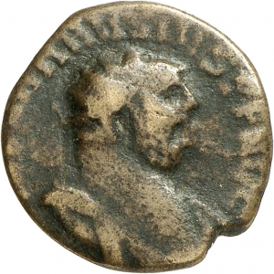 Carausius