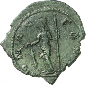 Carausius