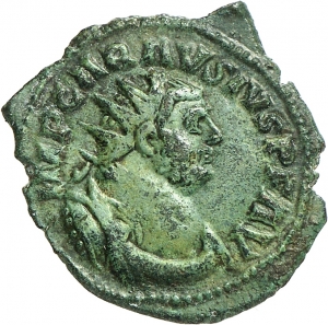 Carausius