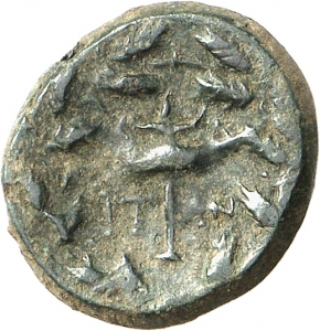 Elaia