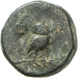 Elaia