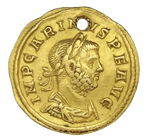 Carinus