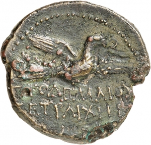 Chalkis: Ptolemaios