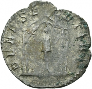 Salonina