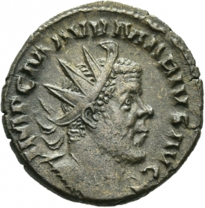 Marius