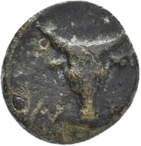 Assos