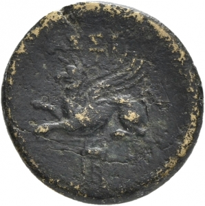 Assos