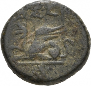 Assos