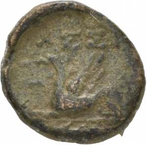Assos