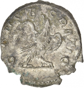 Divi: Divus Septimius Severus