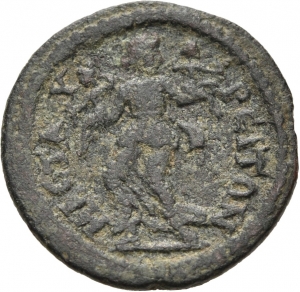 Mastaura