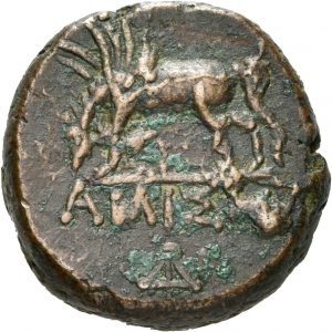 Amisos
