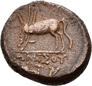 Amisos