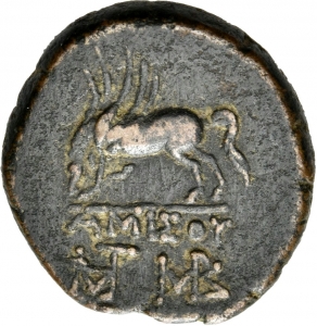 Amisos