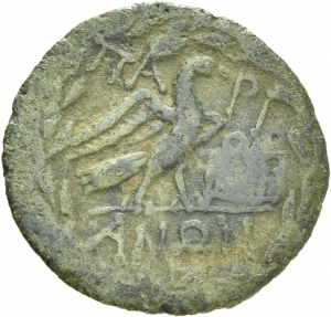 Parion