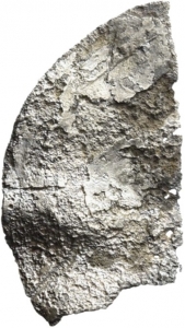 Abbasiden