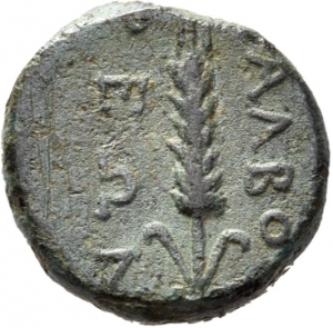 Balbura